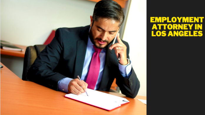 Employment Attorney in Los Angeles - 7 things to know