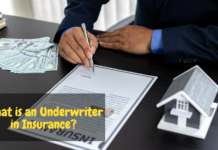 What is an Underwriter in Insurance? 5 Facts to Know (Explained) What is an Underwriter in Insurance? 5 Facts to Know (Explained)