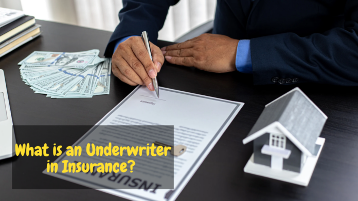 What is an Underwriter in Insurance? 5 Facts to Know (Explained)
