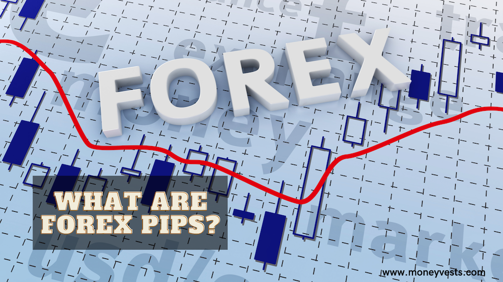 What Are Forex Pips?
