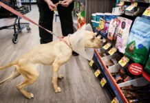 Another pet supplies store operator files Chapter 11 bankruptcy Another pet supplies store operator files Chapter 11 bankruptcy