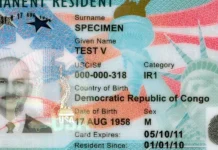 Lawyers, Policy Experts React to Trump’s Green Card Crackdown Lawyers, Policy Experts React to Trump's Green Card Crackdown