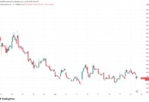 AI chipmaker Cerebras down 11% after first public earnings report AI chipmaker Cerebras down 11% after first public earnings report