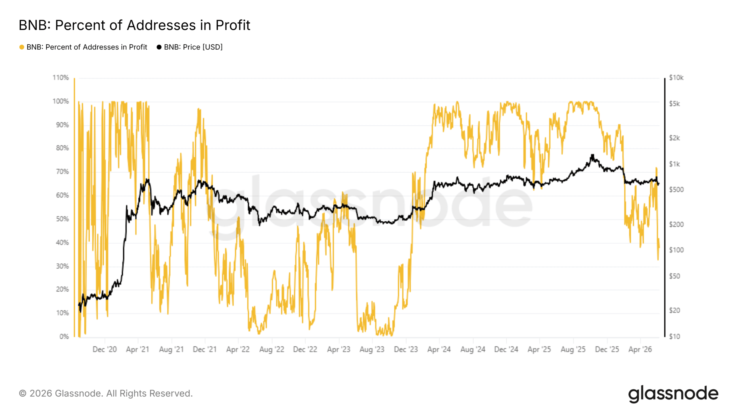 BNB Percent Addresses in Profit