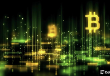 Bitcoin (BTC) layer-2s face a bear-market reality check Bitcoin (BTC) layer-2s face a bear-market reality check