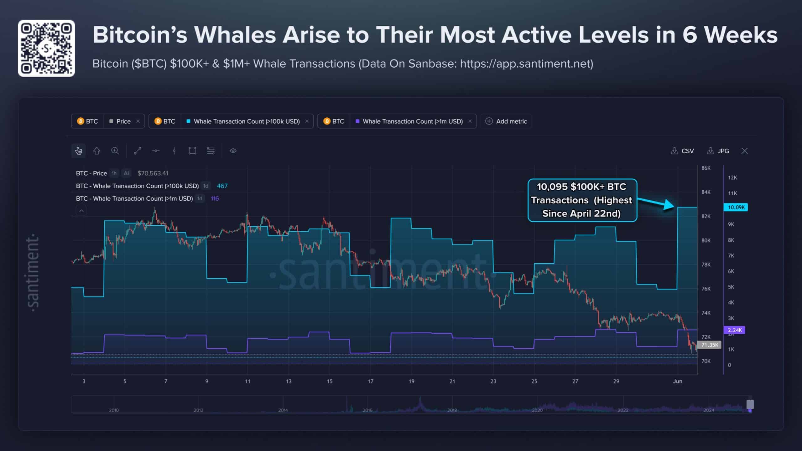 Bitcoin Active Whales