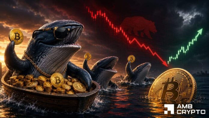 Bitcoin's bounce from $59K on hold? Whale selling and bearish momentum say…