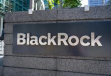 BlackRock’s income-paying bitcoin ETF nears launch at a fee that undercuts rivals BlackRock's income-paying bitcoin ETF nears launch at a fee that undercuts rivals
