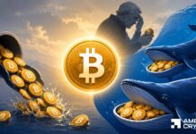 Can BTC whales save Bitcoin after $4.06B ETF outflows? Can BTC whales save Bitcoin after $4.06B ETF outflows?