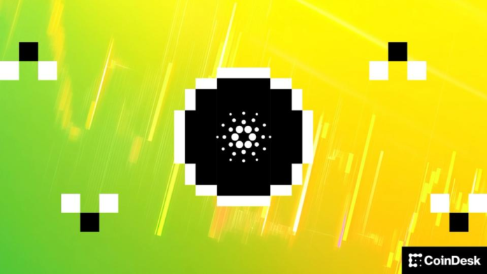 Cardano-social-activity-surges-as-ADA-falls-under-20-cents.png Cardano social activity surges as ADA falls under 20 cents to four-year lows