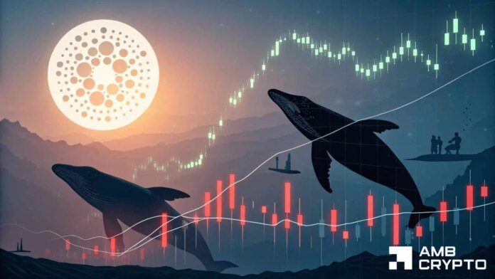 Cardano’s multi-month slump sparks whale activity - ADA's recovery coming?
