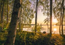 Come back after the summer, says one analyst on crypto markets Come back after the summer, says one analyst on crypto markets