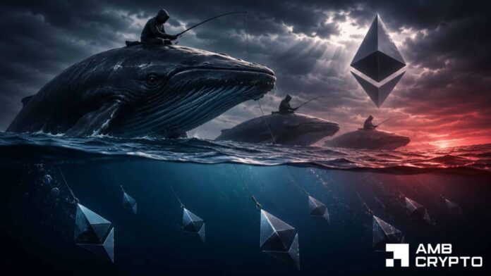 Ethereum-whales-bet-on-downside-but-73-traders-are-long.jpg Ethereum whales bet on downside, but 73% traders are long – Who wins?
