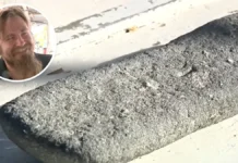 ‘I didn’t believe it’: Florida divers find $100K silver bar in legendary shipwreck. Strike it rich without getting wet 'I didn't believe it': Florida divers find $100K silver bar in legendary shipwreck. Strike it rich without getting wet