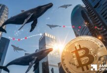 Is Bitcoin setting up for rebound as $190mln whale accumulation grows? Is Bitcoin setting up for rebound as $190mln whale accumulation grows?