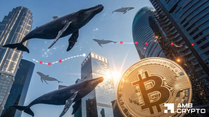 Is-Bitcoin-setting-up-for-rebound-as-190mln-whale-accumulation.jpg Is Bitcoin setting up for rebound as $190mln whale accumulation grows?
