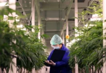 Is Now a Good Time to Buy Tilray Brands Stock? Is Now a Good Time to Buy Tilray Brands Stock?