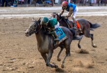 Kentucky Derby And Belmont Wins Have Golden Tempo As Top 3-Year-Old Kentucky Derby And Belmont Wins Have Golden Tempo As Top 3-Year-Old