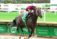 Magnitude Early Breeders Cup Favorite Following Win At Churchill Downs Magnitude Early Breeders Cup Favorite Following Win At Churchill Downs