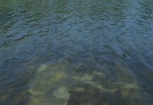 Trump tries explain why the Reflecting Pool is algae green and its blue lining is peeling Trump tries explain why the Reflecting Pool is algae green and its blue lining is peeling