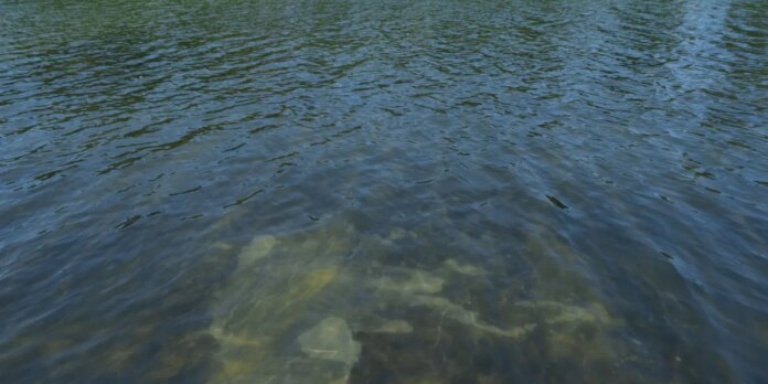 Trump-tries-explain-why-the-Reflecting-Pool-is-algae-green.jpg Trump tries explain why the Reflecting Pool is algae green and its blue lining is peeling