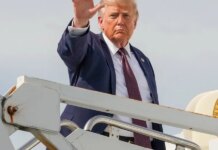 You can ignore Trump’s threats to leave NATO: Pimco says they’re a ‘paper tiger’ You can ignore Trump’s threats to leave NATO: Pimco says they’re a 'paper tiger'