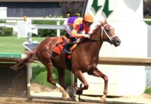$1 Million Haskell Serves As Stepping Stone To Travers, Breeders’ Cup $1 Million Haskell Serves As Stepping Stone To Travers, Breeders’ Cup