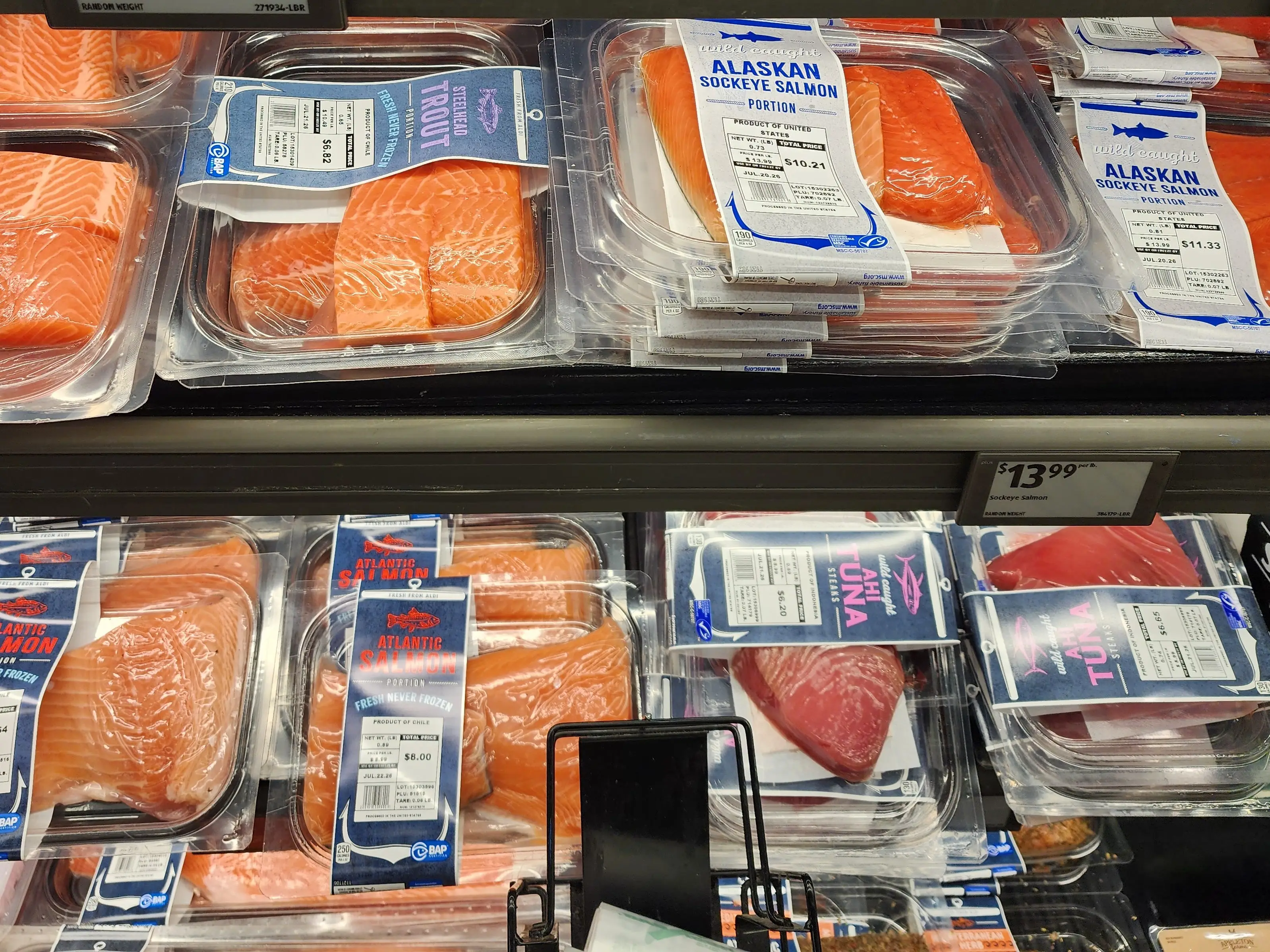 A selection of fresh salmon sitting on multiple shelves at Aldi.