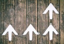BTC price news: Bitcoin retakes $63,000, reversing end-June losses BTC price news: Bitcoin retakes $63,000, reversing end-June losses
