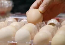 Big Egg (Allegedly) Gaslit Us All About Why Prices Were so High Big Egg (Allegedly) Gaslit Us All About Why Prices Were so High