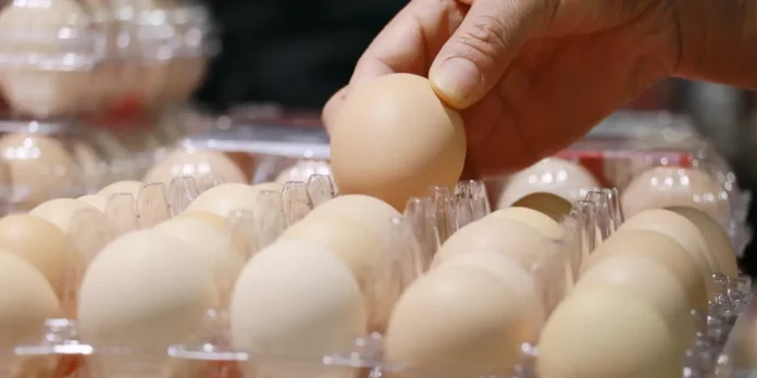 Big-Egg-Allegedly-Gaslit-Us-All-About-Why-Prices-Were.webp Big Egg (Allegedly) Gaslit Us All About Why Prices Were so High
