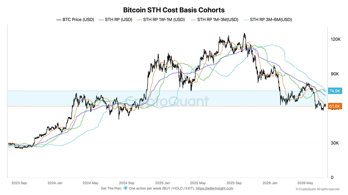 Bitcoin STH Cost Basis Cohorts