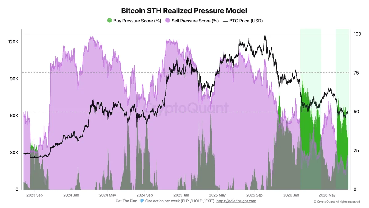 Bitcoin STH Realized Pressure Model