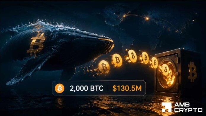 Bitcoin-Will-a-1305M-whale-move-derail-BTCs-push-toward.jpg Bitcoin: Will a $130.5M whale move derail BTC's push toward $70K?