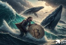 Bitcoin price holds above $60K – But is a BTC bull trap brewing? Bitcoin price holds above $60K – But is a BTC bull trap brewing?