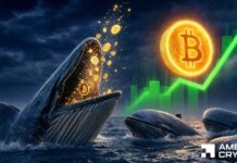 Bitcoin whales bet $94M on recovery – Can BTC finally clear $64K? Bitcoin whales bet $94M on recovery – Can BTC finally clear $64K?