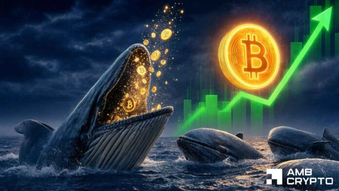 Bitcoin-whales-bet-94M-on-recovery-–-Can-BTC-finally.jpg Bitcoin whales bet $94M on recovery – Can BTC finally clear $64K?