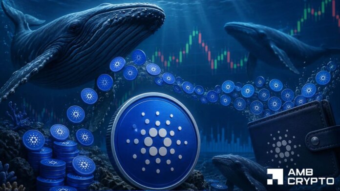 Cardano whales tighten supply - Is $0.20 back in sight for ADA?
