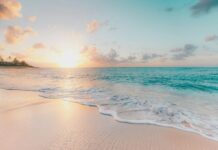DeFi protocol Summer.fi halts Lazy Summer vaults after $6 million exploit DeFi protocol Summer.fi halts Lazy Summer vaults after $6 million exploit