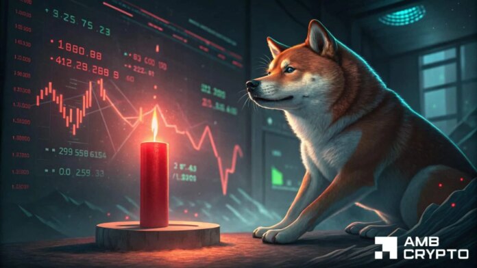 Here's why Shiba Inu's imbalance zone is in focus after price falls by 11%