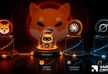 SHIB’s 2026 price outlook — Here’s what THESE AI models are saying! SHIB's 2026 price outlook — Here's what THESE AI models are saying!