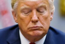 Trump’s 927-page disclosure is just a normal Tuesday for direct indexing and crypto wealth managers Trump’s 927-page disclosure is just a normal Tuesday for direct indexing and crypto wealth managers