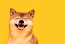 Why is SHIB up 35%? Shiba Inu rockets higher as S.Korean traders lead mystery rally Why is SHIB up 35%? Shiba Inu rockets higher as S.Korean traders lead mystery rally