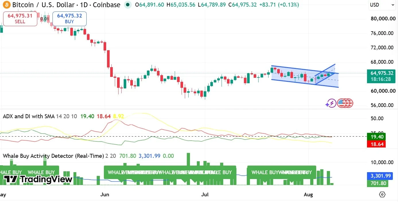 TradingView