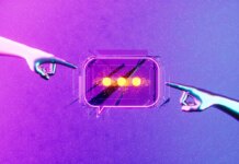 AI Psychosis Is Real, Rare and Rising — and Your Life as a Founder Fits Every Risk Factor AI Psychosis Is Real, Rare and Rising — and Your Life as a Founder Fits Every Risk Factor