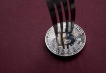 Attention bitcoin holders: You can lose real BTC trying to sell coins from BIP-110 fork Attention bitcoin holders: You can lose real BTC trying to sell coins from BIP-110 fork