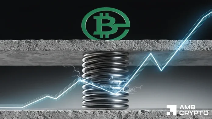 BCH-liquidation-clusters-build-above-price-—-Is-232-next.webp BCH liquidation clusters build above price — Is $232 next?