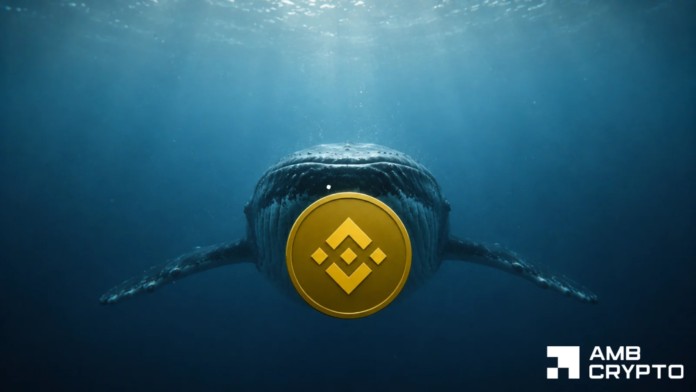 Binance Coin: Can a $8.5M whale position keep BNB above $700?