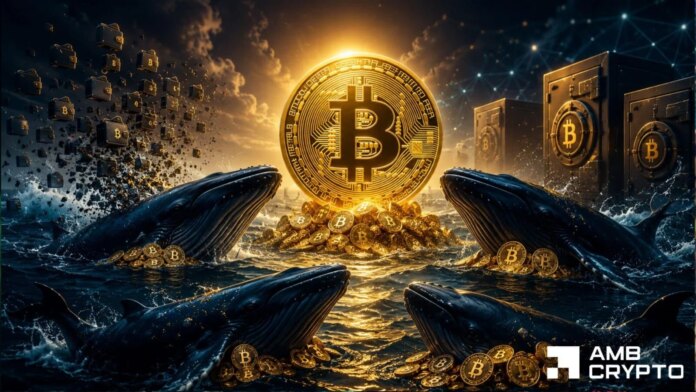 Bitcoin-90-wallets-now-hold-at-least-10000-BTC-–.jpg Bitcoin: 90 wallets now hold at least 10,000 BTC – What changed?