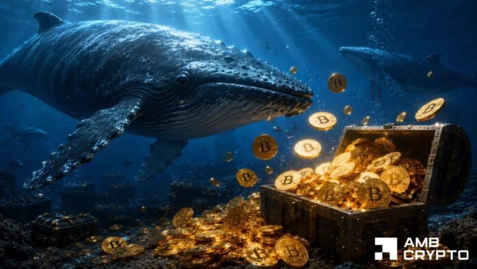 Bitcoin-whales-accumulate-for-5-days-–-Can-BTC-escape.jpg Bitcoin whales accumulate for 5 days – Can BTC escape THIS channel?